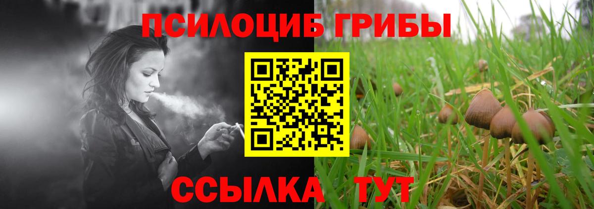 Галлюциногенные грибы мицелий Нарткала
